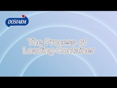 فرآیند حمل و نقل استاندارد